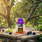 Jamun Honey – Pure, Nutrient-Rich, and Naturally Medicinal