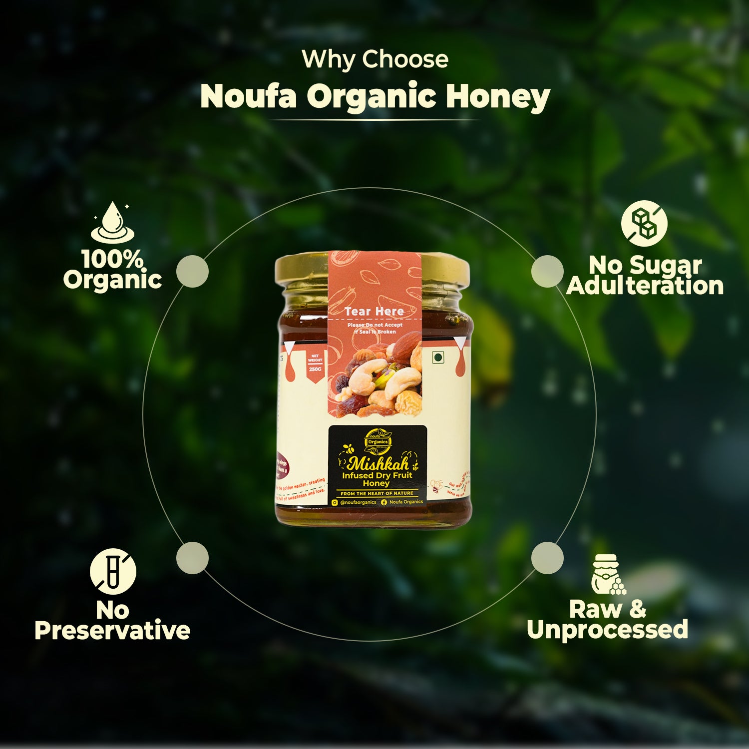 NutriFusion Dryfruit Honey
