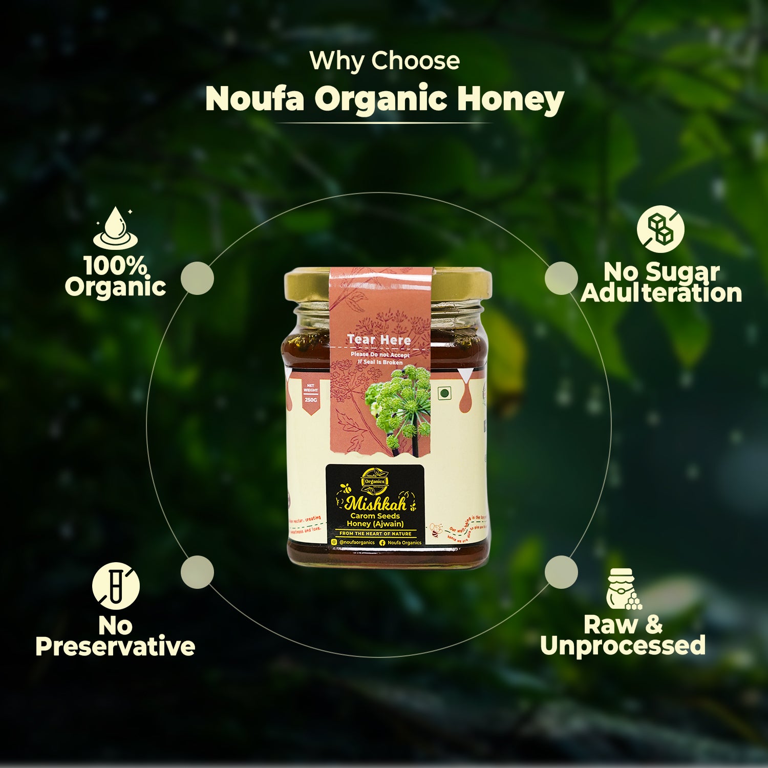 Ajwain Honey – Nature’s Remedy for Digestion & Immunity