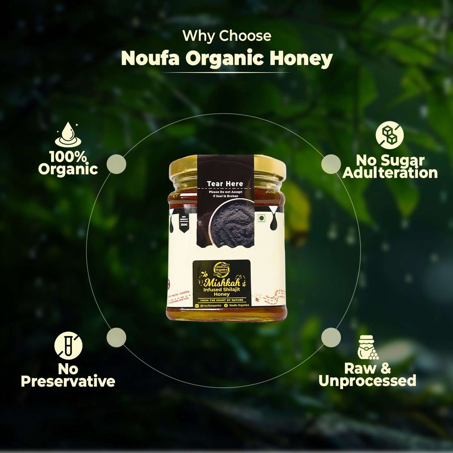 Shilajit Energy Honey