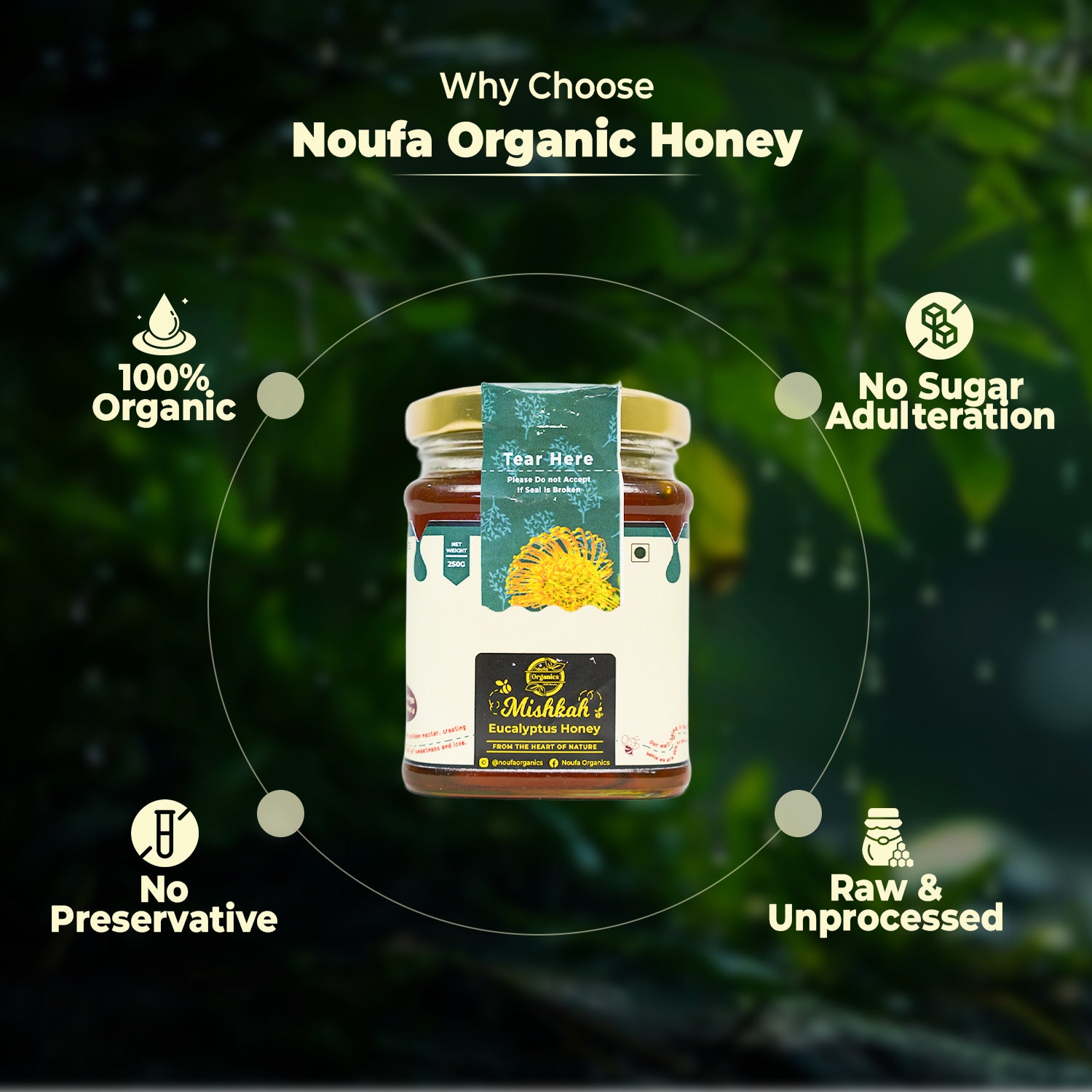 Eucalyptus Honey – Pure, Aromatic & Naturally Healing