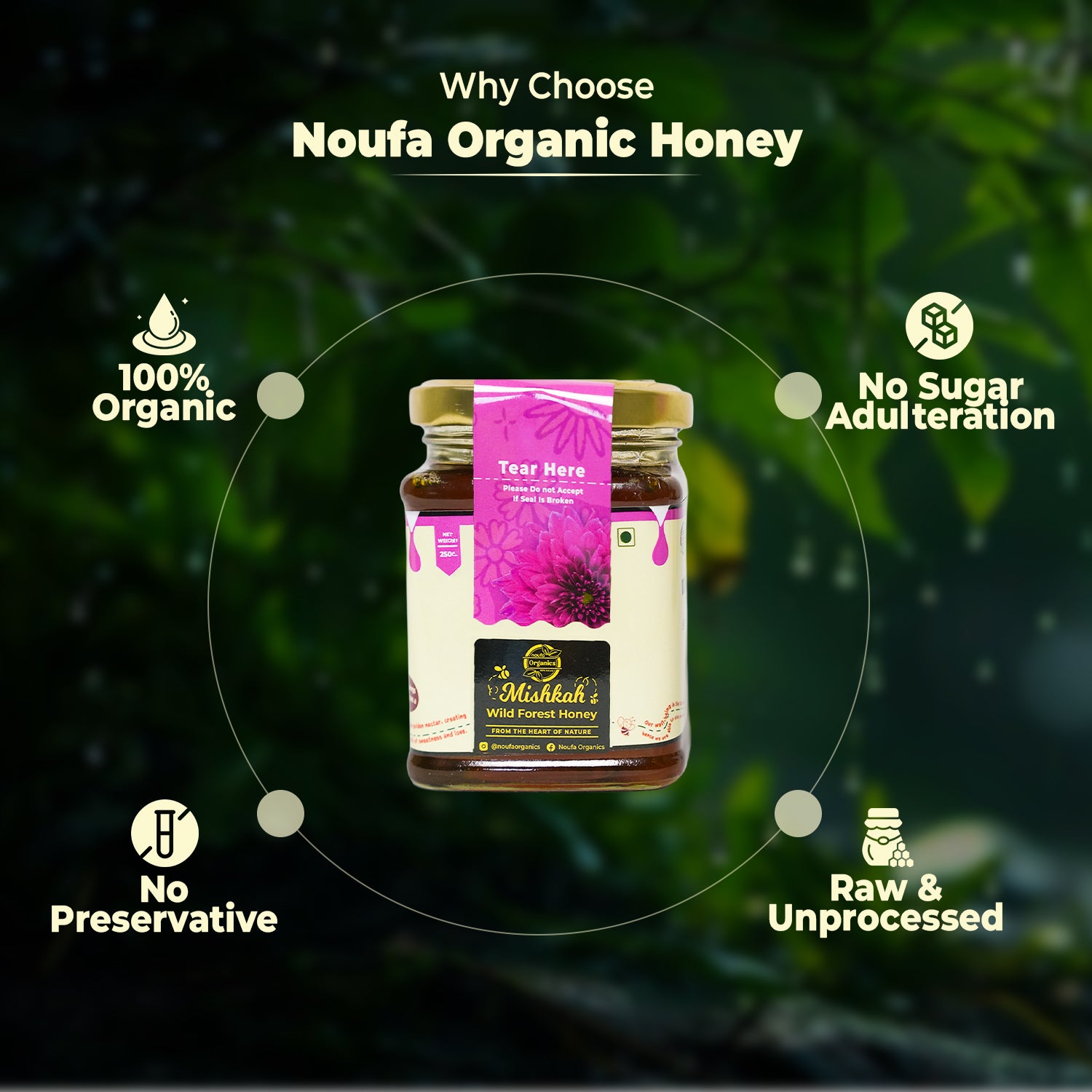 Wild Forest Honey – Nature’s Pure Essence from the Heart of the Forest