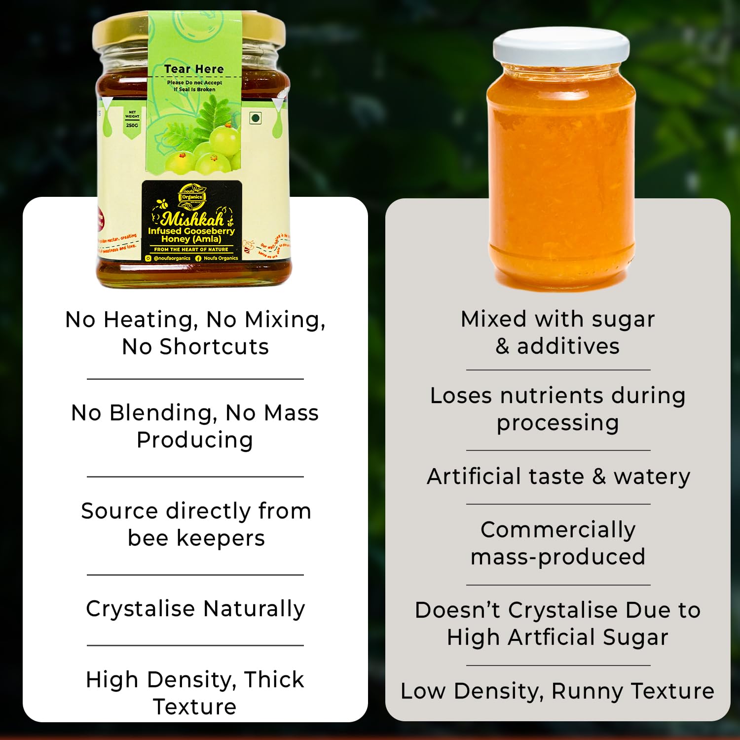Amla Honey – Vitamin C-Rich & Immunity-Boosting Superfood