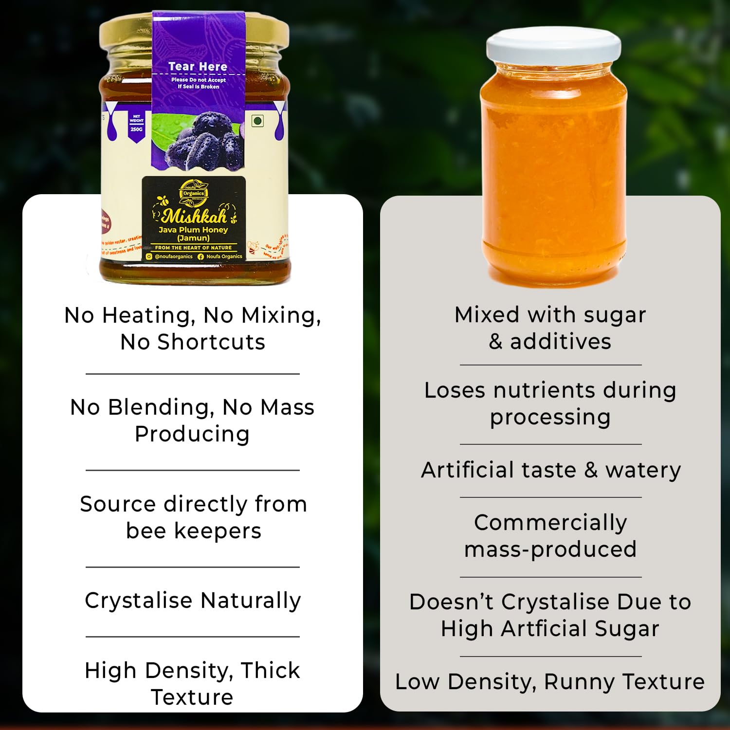 Jamun Honey – Pure, Nutrient-Rich, and Naturally Medicinal