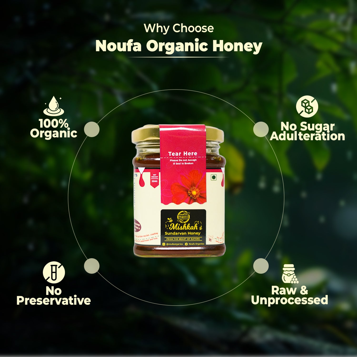 Sundarvan Honey – Pure, Wild, and Nutrient-Rich