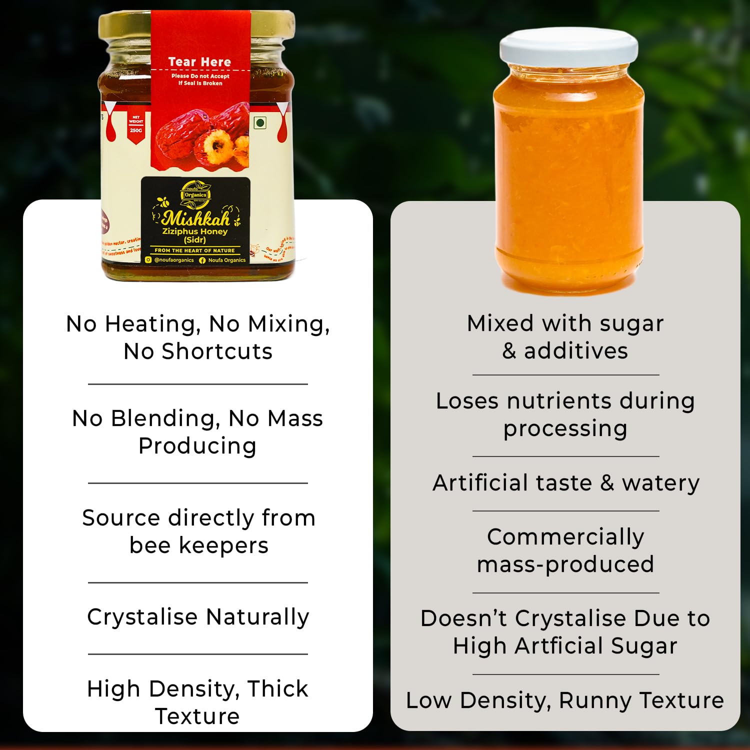 Sidr Honey – Nature’s Liquid Gold with Exceptional Purity & Health Benefits