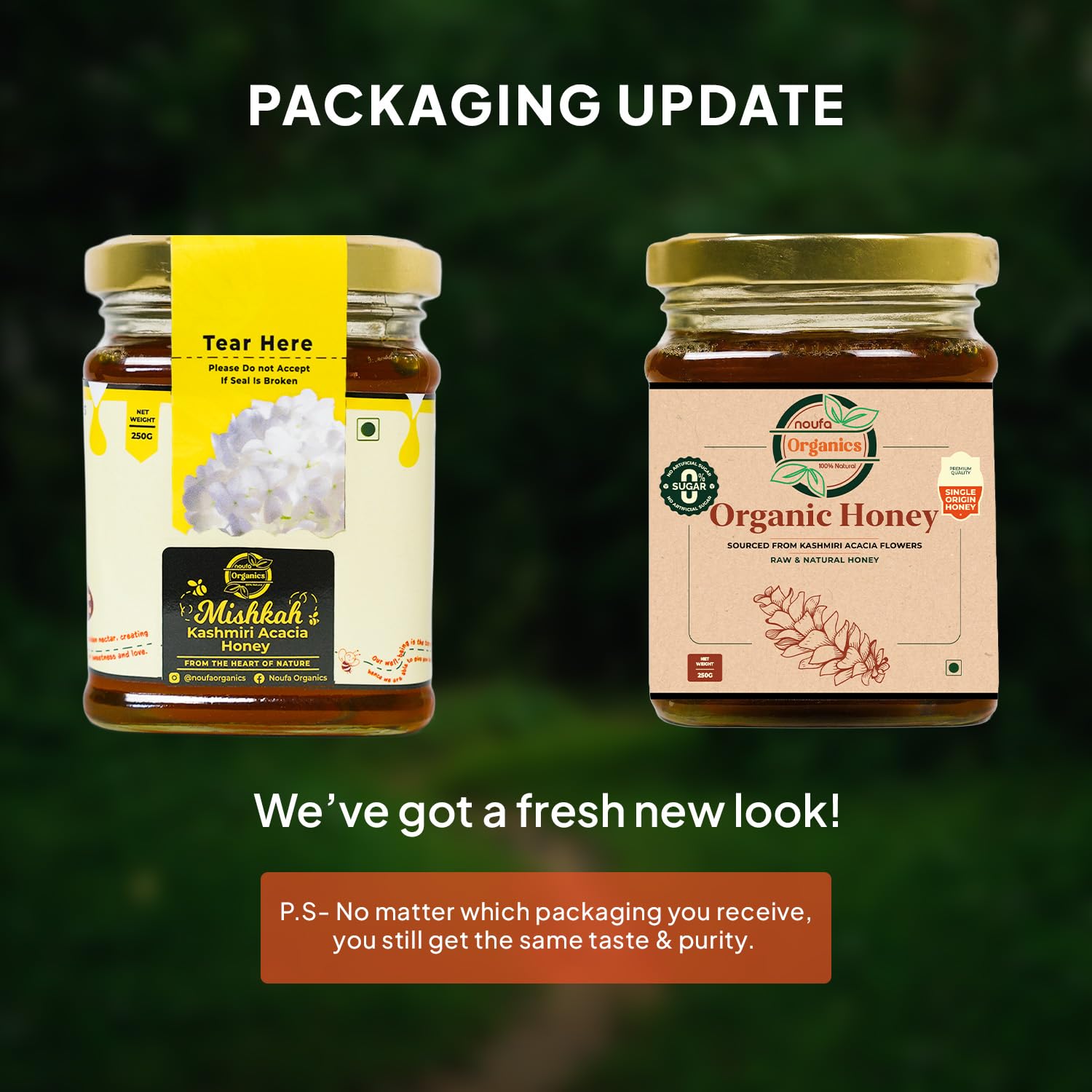 Kashmiri Acacia Honey – Pure, Light & Nutrient-Rich | 100% Natural