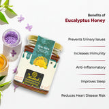 Eucalyptus Honey – Pure, Aromatic & Naturally Healing